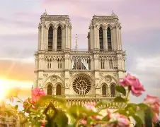 法国杯最新赛程